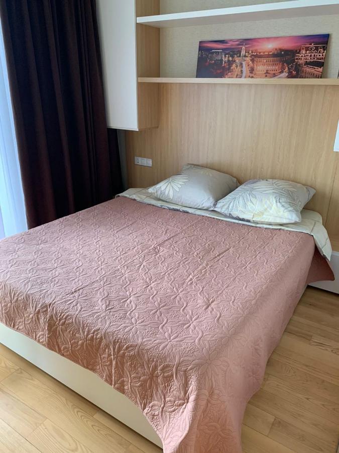 Comfortable Apartments French Quarter Акумулятори Світло Інтернет Завжди Киев Екстериор снимка